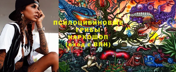прущие крисы Баксан